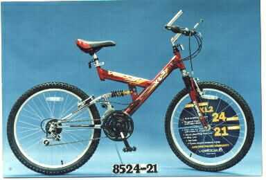 Vertical XL2 mountain bicycles - Image 1