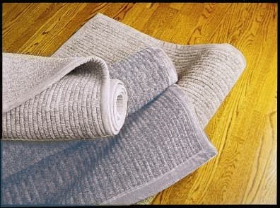 Pottery Barn Bailey Chenille Rugs - Image 1