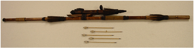 African Blow Dart Guns - Image 1