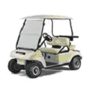 2004 and 2005 model year gasoline and electric powered DS Golf Cars, Hospitality, Utility & Transport Vehicles and Rough Terrain Vehicles - Image 1
