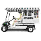 2004 and 2005 model year gasoline and electric powered DS Golf Cars, Hospitality, Utility & Transport Vehicles and Rough Terrain Vehicles - Image 3