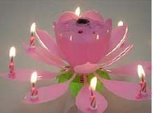 Musical Flower Birthday Candleholder - Image 1