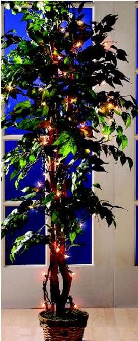 Lighted Ficus Tree - Image 1