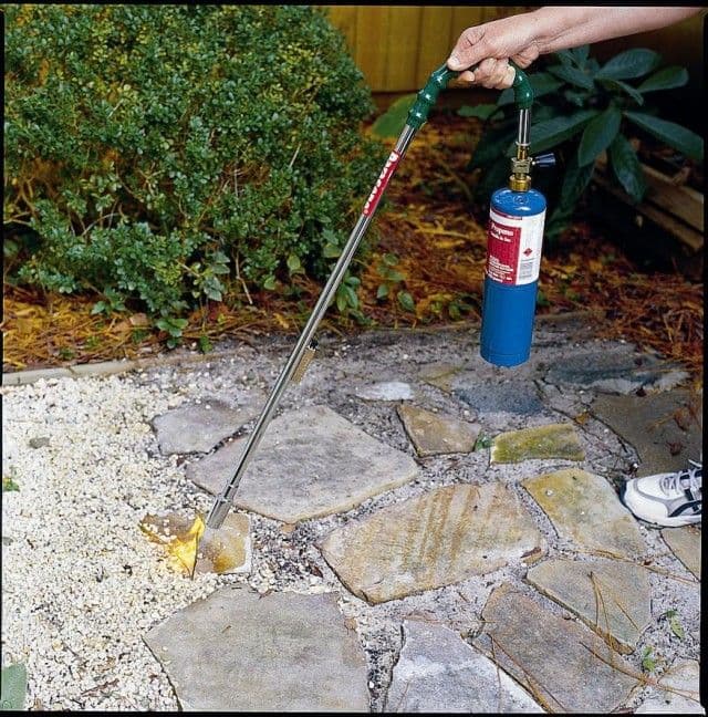 Flame Weeders - Image 1