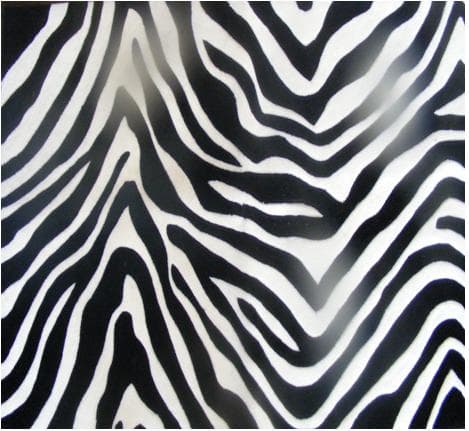 Zebra Rug - Image 1