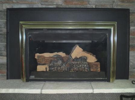 Napoleon Propane Gas Fireplace Inserts - Image 1