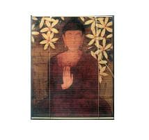 Roman Shades and Roll-up Blinds - Image 3