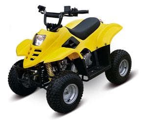 Fushin ATVs - Image 1