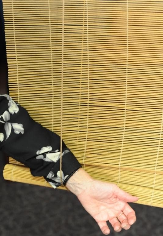 Roll-up Blinds and Roman Shades - Image 2