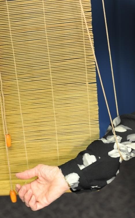 Roll-up Blinds and Roman Shades - Image 3