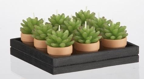 Succulent plant-shaped decorative candles in a pot - Image 1