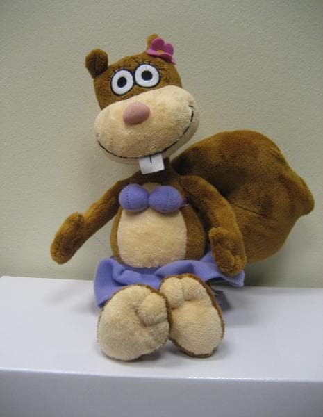 Sandy the Squirrel Plush Toys - Image 1