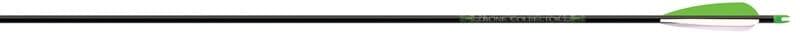 Beman Bone Collector Arrows - Image 1