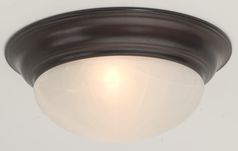 Ceiling-Mounted Light Fixture - Image 1