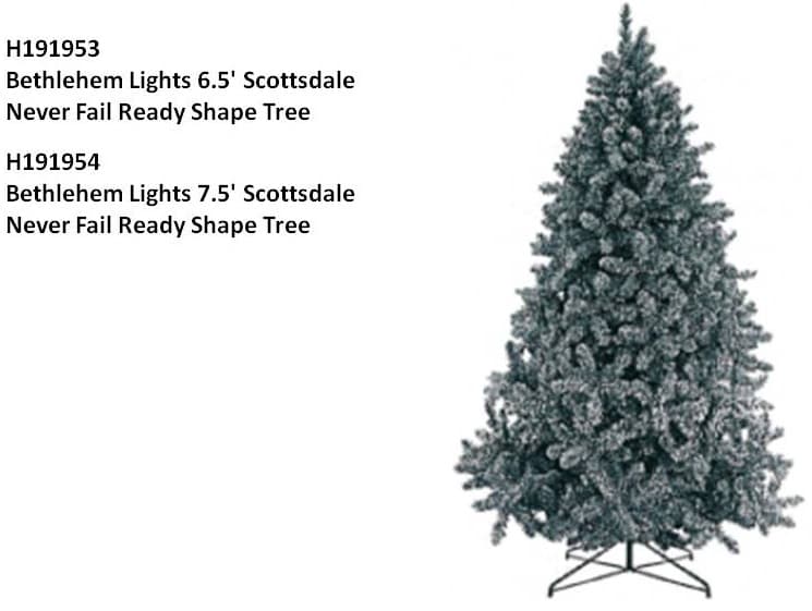 Artificially Lit Christmas Trees - Image 2