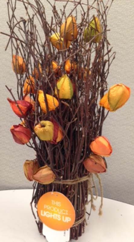 Gardeners Eden™ light-up autumn decorations - Image 3