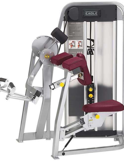 Arm Curl Machines - Image 3