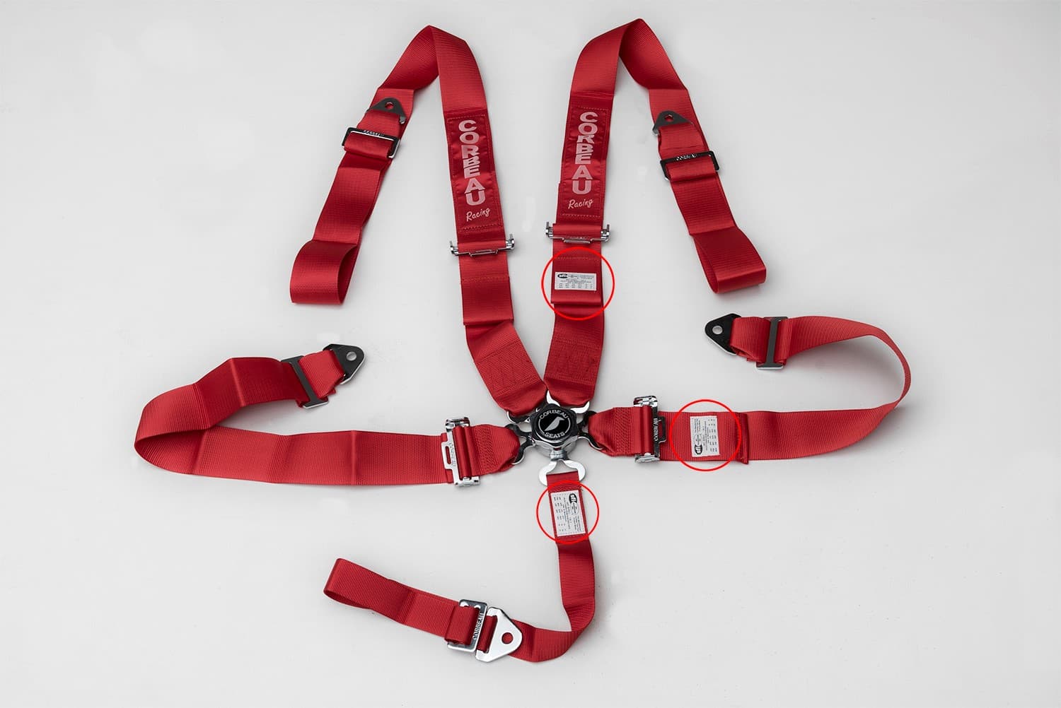 5-Point Camlock Harness Belts - Image 2