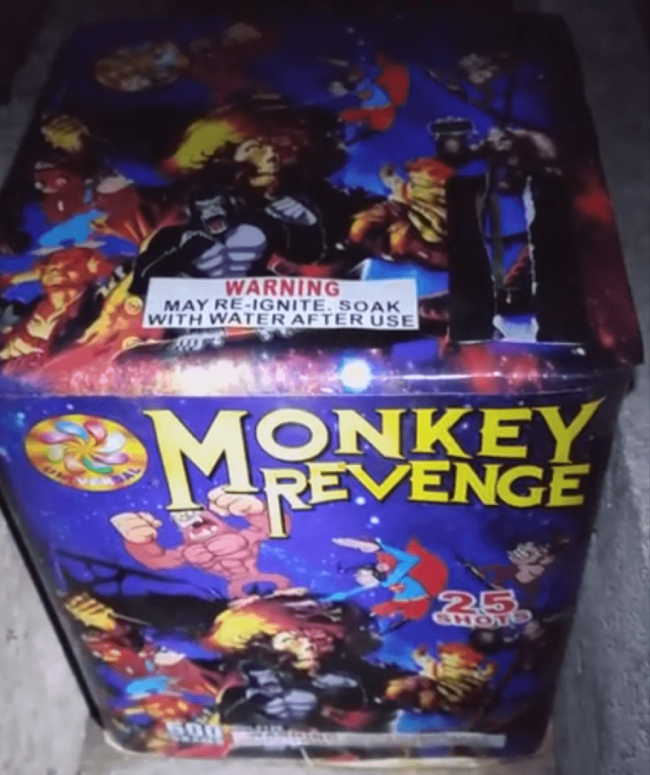 Fireworks - Image 11