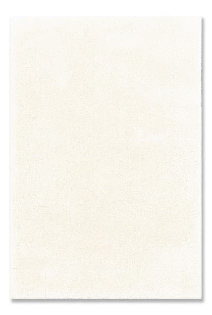 Ultimate Shag Rugs - Image 2