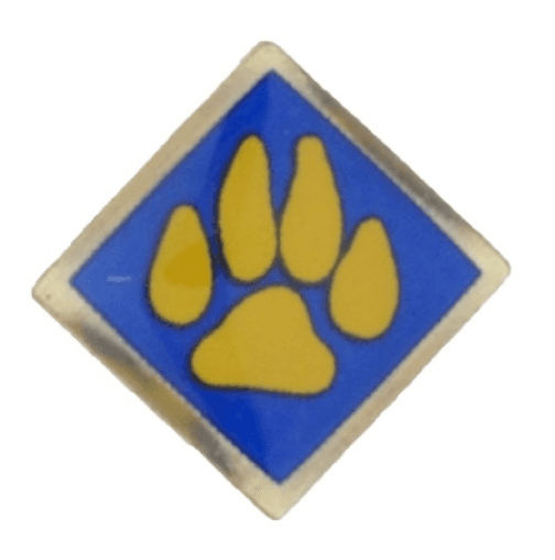 Cub Scout activity pins - Image 1