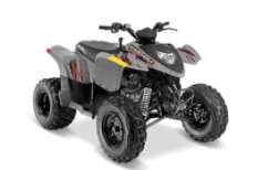 Model Year 2018-2020 Polaris Phoenix 200 ATVs - Image 1