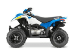 Model Year 2011-2021 Phoenix 200 ATV - Image 3