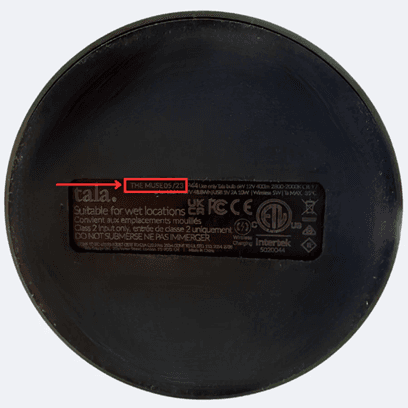 Tala Muse Portable Lamps - Image 8