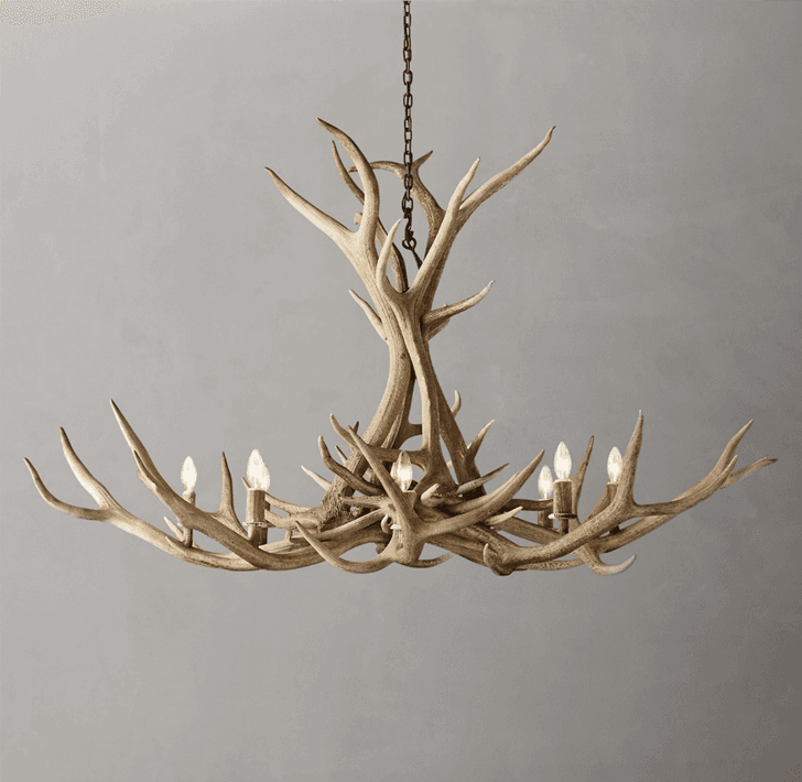 48" and 60" Natural Antler Chandeliers - Image 2