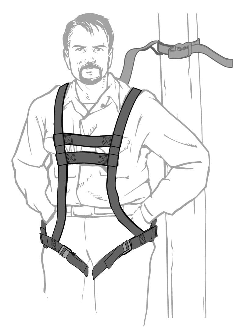 Safety Harnesses Sold with Tree Stands - Image 1