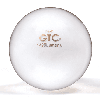 GTC halogen light bulbs - Image 4