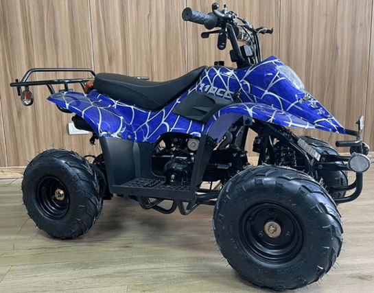 Ricky Powersports Tumble Weed Youth and TGB Blade Adult All-Terrain Vehicles (ATVs) - Image 1