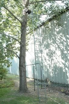 Kong Maxx Ladder Stands - Image 1