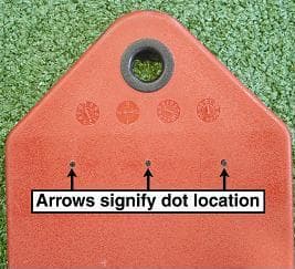 Sling Swing Seats - Image 2