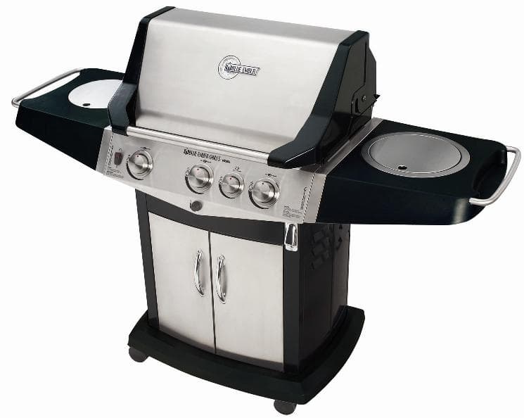 Blue Ember Gas Grills - Image 1