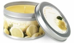 Home Interiors Fundraising Candle Tin Series - Image 1